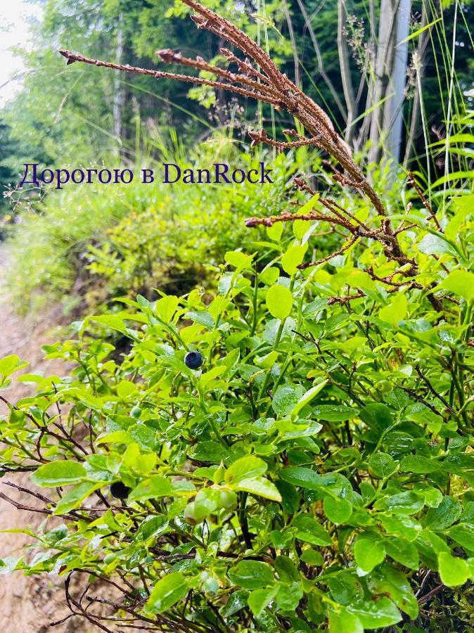 Apartamento Danrock Yablunytsya Exterior foto